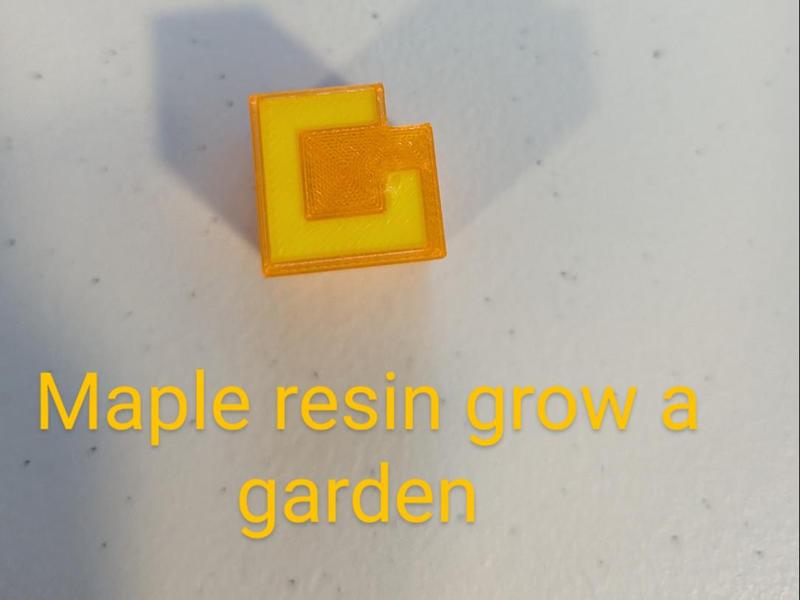 Maple resin