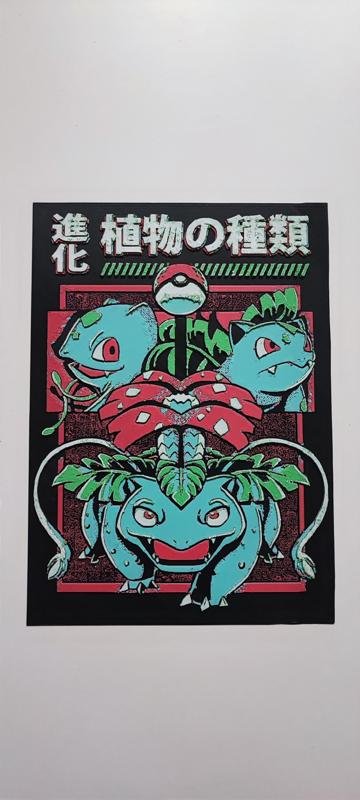 3D Picture Pokémon Bulbasaur, Ivysaur and Venusaur