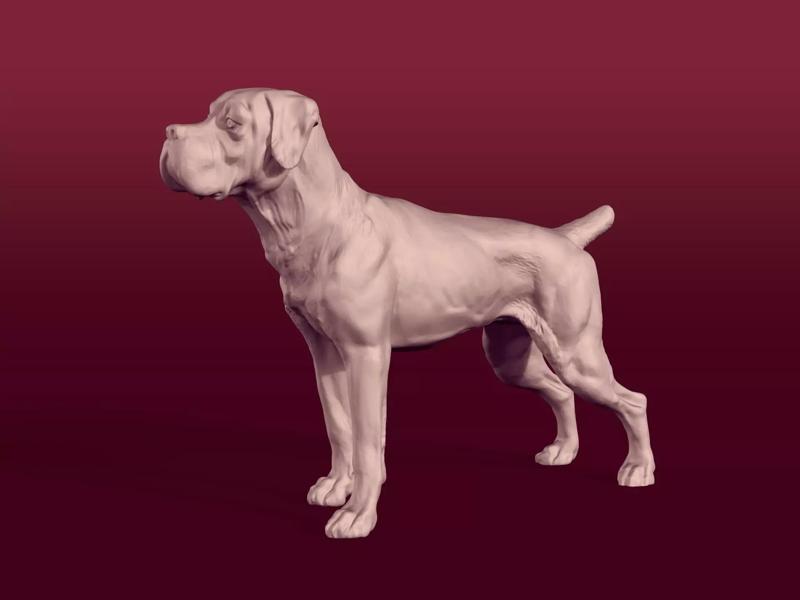 Boxer Dog Statue - Figurine