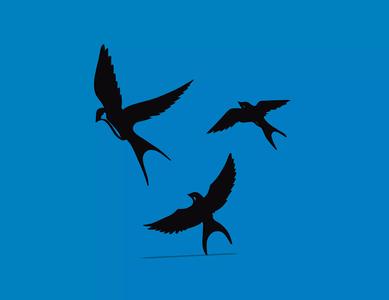 WALL ART BIRDS