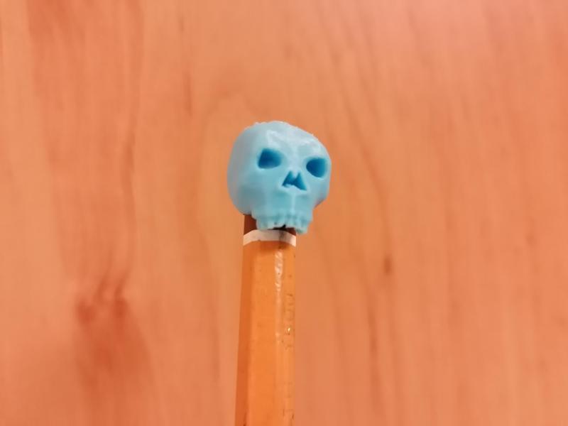 Skull Pencil Cover