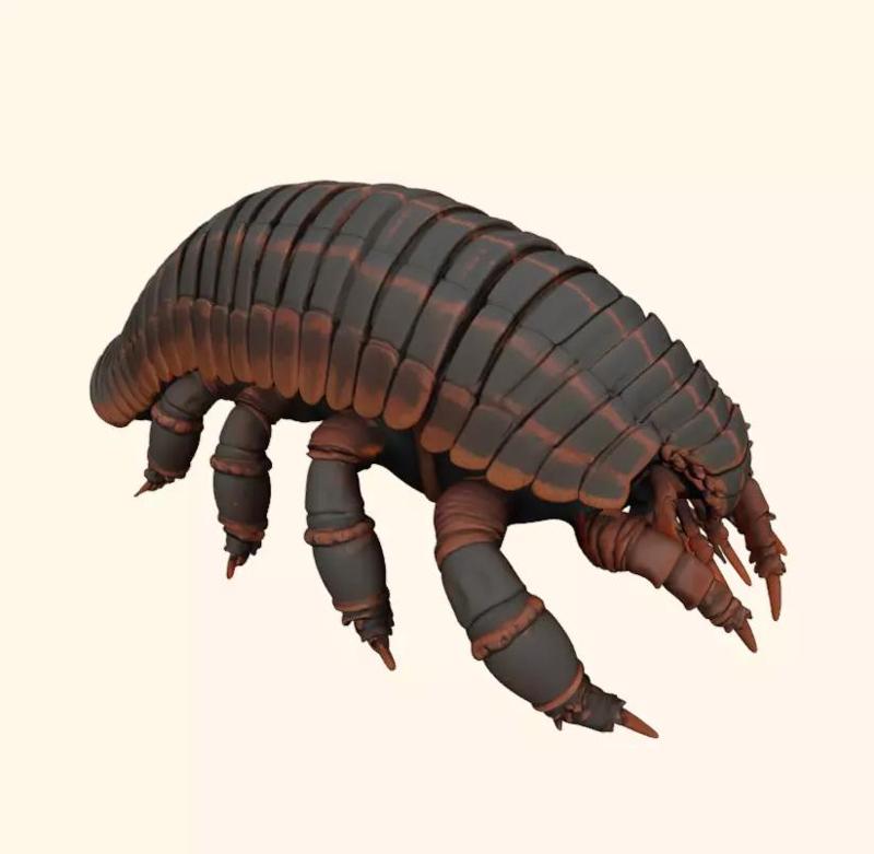 Trilobite Creature