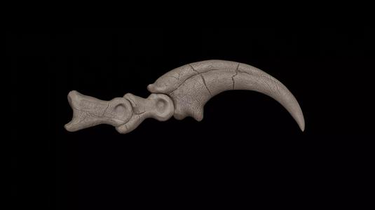 Velociraptor Killing Claw