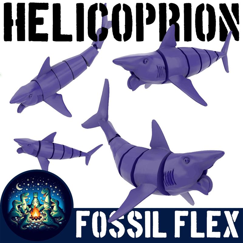 JOINTED HELICOPRION PREHISTORIC SHARK