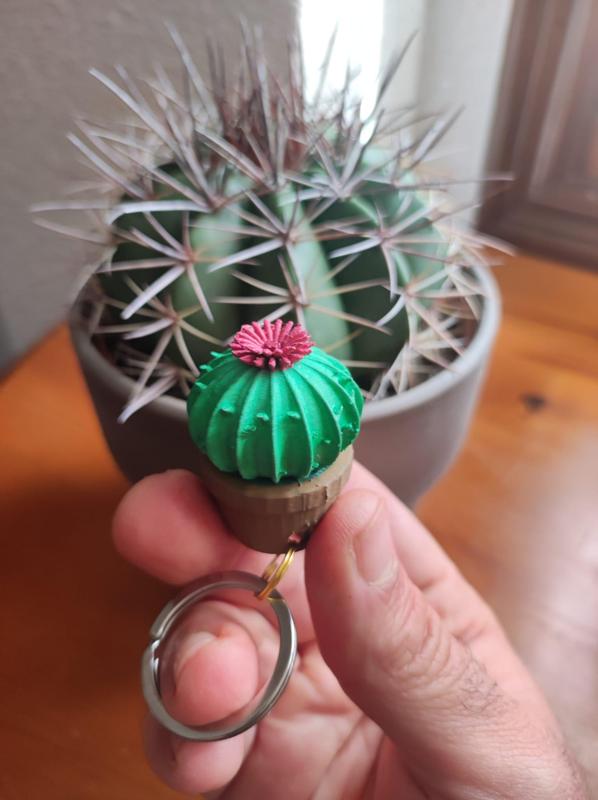 Llavero Cactus
