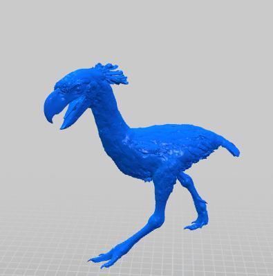 Terror-bird by Natural History Museum of Vienna