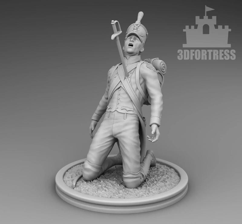 French wounded 3