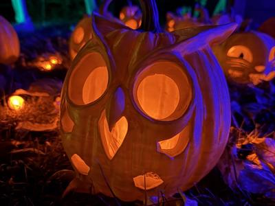 Owl Face Jack-O-Lantern Pumpkin Halloween Tealight