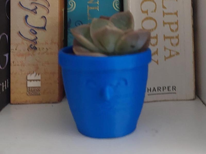 Smiling Pot