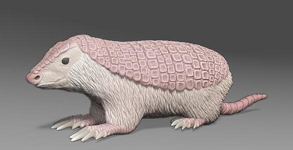 Pink Fairy Armadillo Figurine