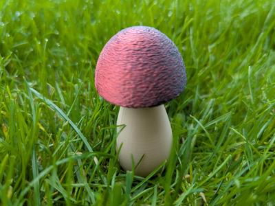 cute very small mushroom with small cap