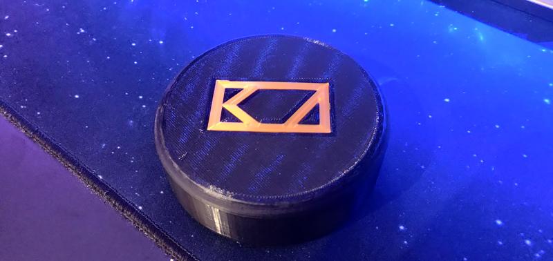 KZ ZSN PRO X Case (also fits most other KZ IEMs)