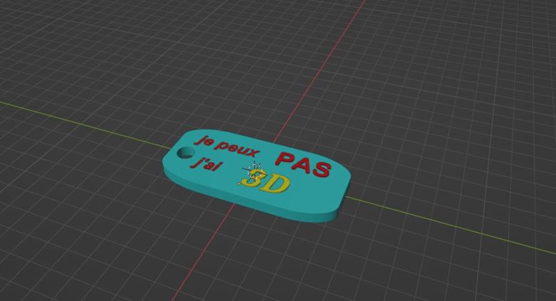 porte cle je peux pas j'ai 3d