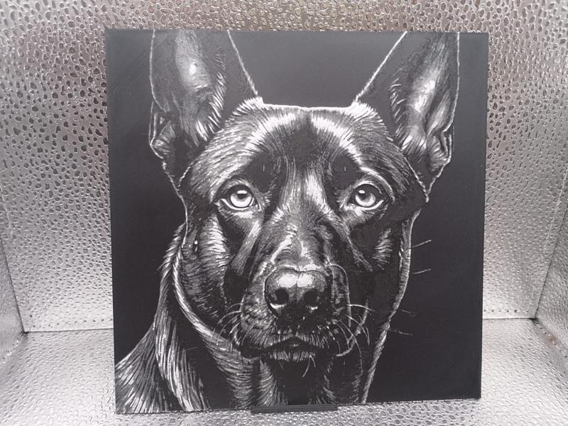 Belgian Malinois Hueforge