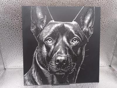 Belgian Malinois Hueforge