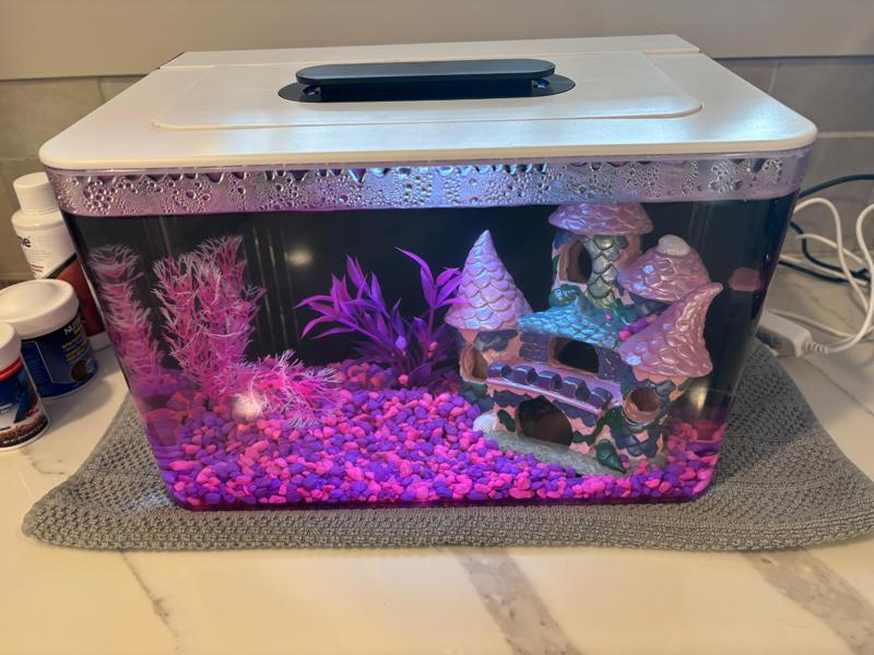 Nozzle for Amazon 2.5 Gallon Fish Tank 