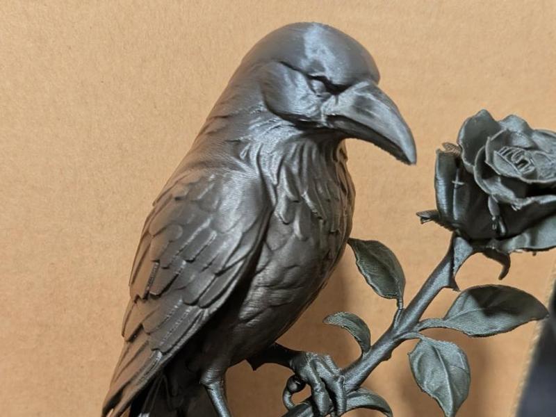 raven and rose