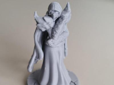 DnD PC tortle wizard sorcere warlock mini 25mm