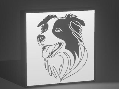Border Collie 1 LightBox