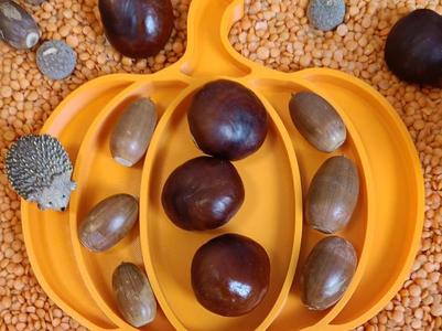 Sensory Play Tray - Pumpkin - A1 mini friendly