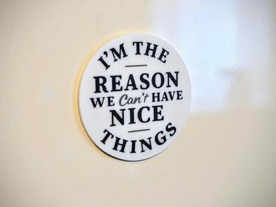 Can't Have Nice Things Toolbox Magnet