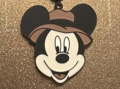 Mickey Mouse Safari