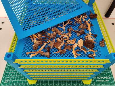 MUSHROOM DRYER DIRECT SOLAR ENERGY