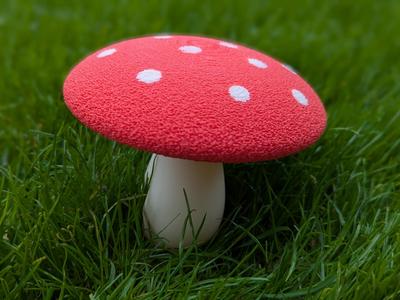 cute small fly mushroom
