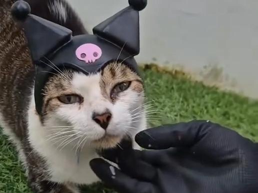 Kuromi Cat Hat 3D Printable Cosplay