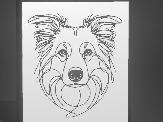 Border Collie (3) LightBox