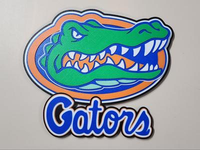 Florida Gators Wall Display