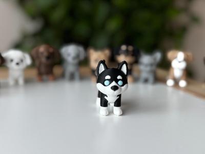 Husky puppy