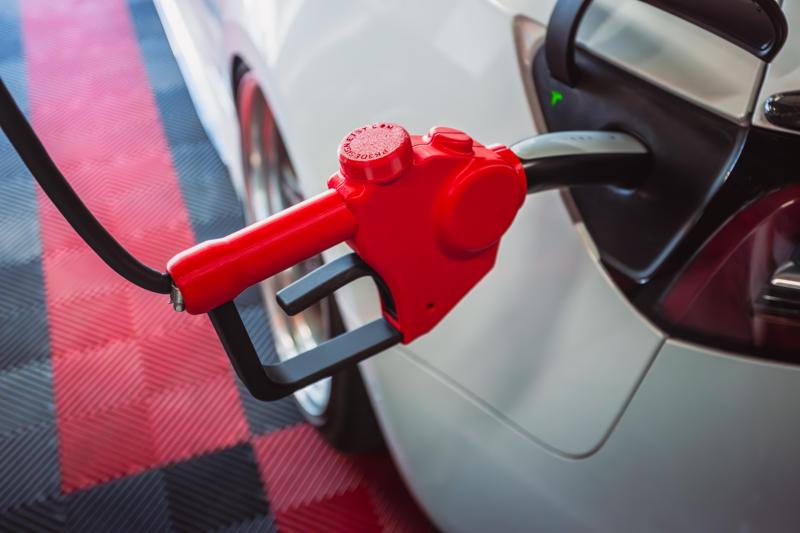 Tesla Mobile Charger Decorative Cover Gasoline Pump Electric Car (3D Printed)