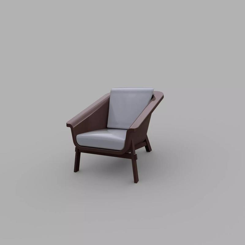 Arm Chair with Cushions