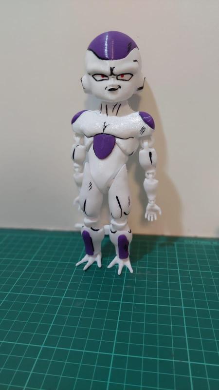 FREZZER -FLEXI MULTICOLOR