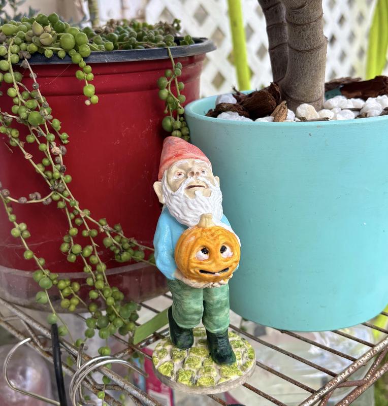 Garden Gnome with Pumpkin
