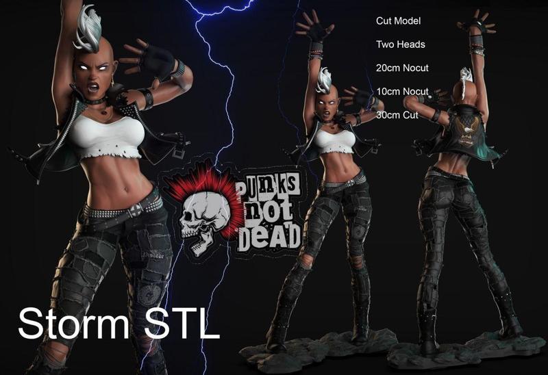 Punk Storm