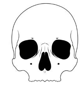 Skull Cookie Cutter STL – 4" Tall – Halloween & Gothic Baking