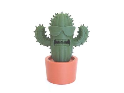 Cool Cactus