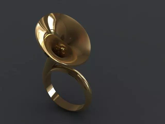 Gramophone ring