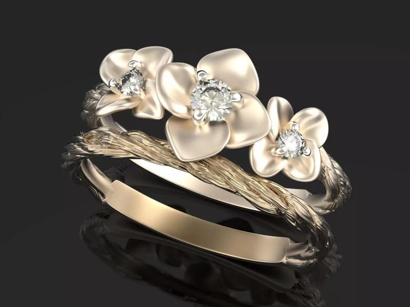 Country song Verse X