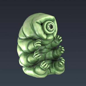 Tardigrade Water Bear