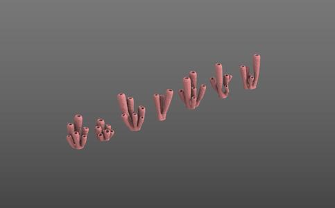Ocean coral tubes