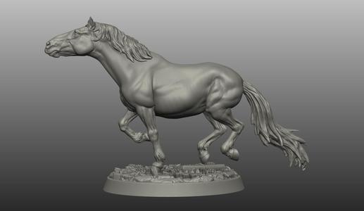 HORSE POSE 15