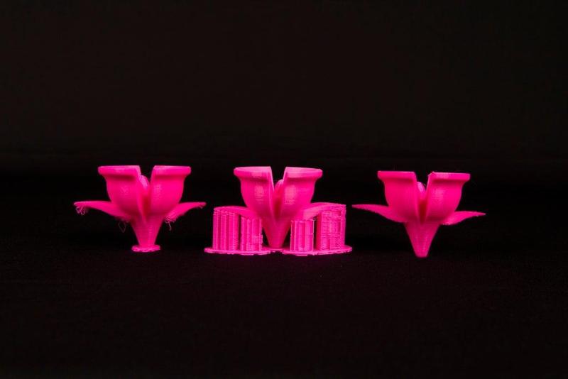 Rafts and Supports Flowers