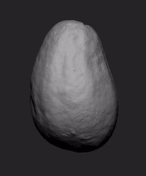 Avocado - half and full