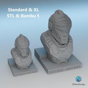 Republic Sentinel Bust + Base – Cosmic Warriors Collection (Standard + XL)