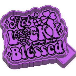 Not Lucky Just Blessed St Patrick Freshie STL Mold Housing