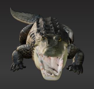 Wild Life Collection - Crocodile