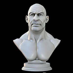 The Rock Fan Art Bust